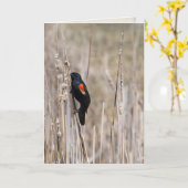 Carte penser à vous-rouge merle à ailes sur herbe sèche (Fleur jaune)