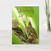 Carte "Penser à vous" Thghtful Toad (Devant)