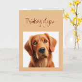 Carte Penser à vous triste solitaire chien animal animal (Fleur jaune)