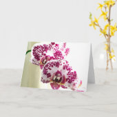 Carte Penser à vous varié violet orchidée photo (Fleur jaune)