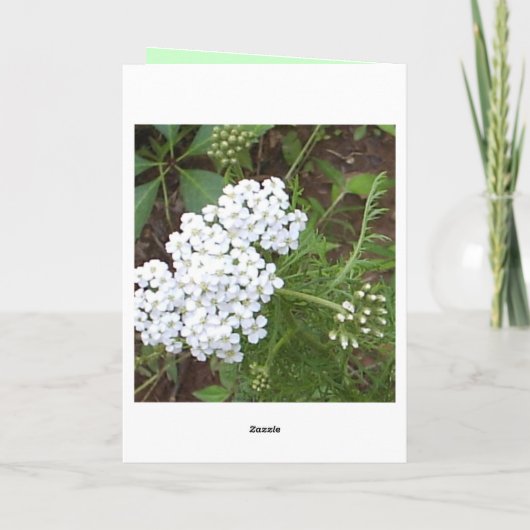 Carte Pensez à vous (Dos)