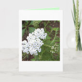 Carte Pensez à vous (Devant)