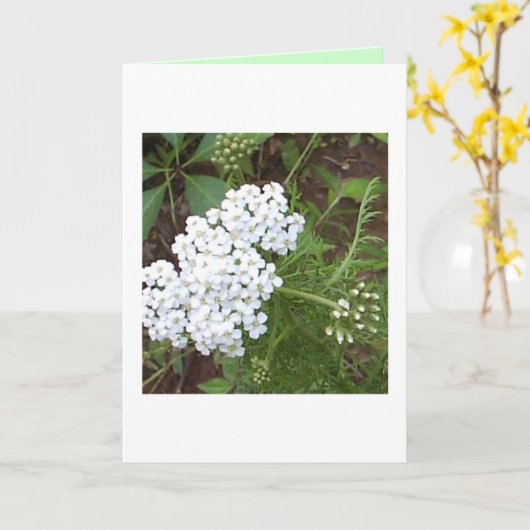 Carte Pensez à vous (Fleur jaune)