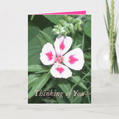 Carte Pensez à vous (Devant)