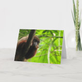 Carte Pensez à vous (Devant)