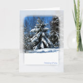 Carte Pensez À Vous - Arbre D'Hiver (Devant)