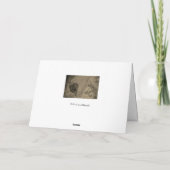 Carte Pensez à vous avec une rose rouge (Dos)