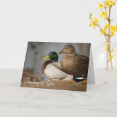 Carte "Pensez à vous" Canards (Fleur jaune)