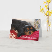 Carte Pensez à vous Cavalier roi Charles Spaniel (Fleur jaune)