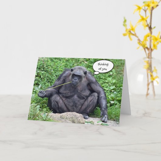 Carte Pensez à vous Chimpanzé (Fleur jaune)