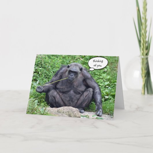 Carte Pensez à vous Chimpanzé (Devant)