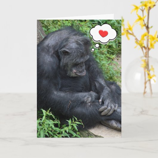 Carte Pensez à vous Chimpanzé (Fleur jaune)