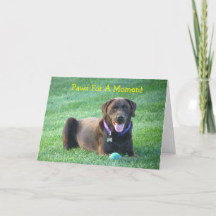Carte Pensez À Vous Labrador Retriever Greeting Card