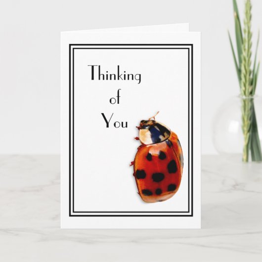 Carte Pensez à vous mignon et classe petit Ladybug (Devant)