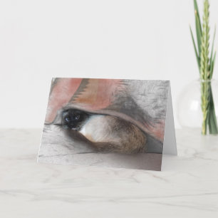 Carte Pensez à vous mignon Siamese et croquis général