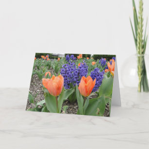 Carte Pensez à vous, Tulipes et Hyacinthes