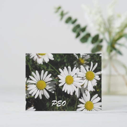 Carte PEO (Debout devant)