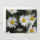 Carte PEO (Devant / Derrière)