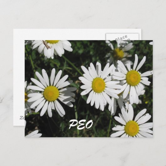 Carte PEO (Devant / Derrière)