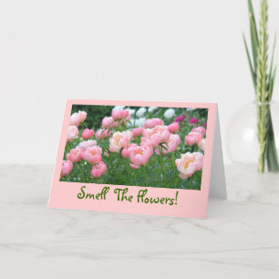 CARTE PEONIES ROSES, ROSES ET BLANCHES