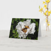 Carte Peony blanc (Fleur jaune)