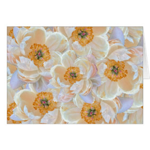 Carte Peony Blush
