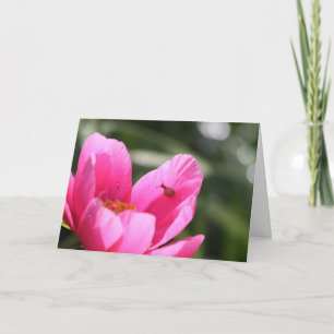 Carte Peony "Chameleon"