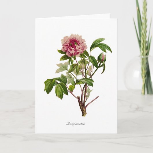 Carte Peony moutan (Devant)