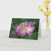 Carte Peony "Pink Spritzer" (Fleur jaune)
