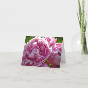 Carte Peony rose gîte ferme jardin fleuri
