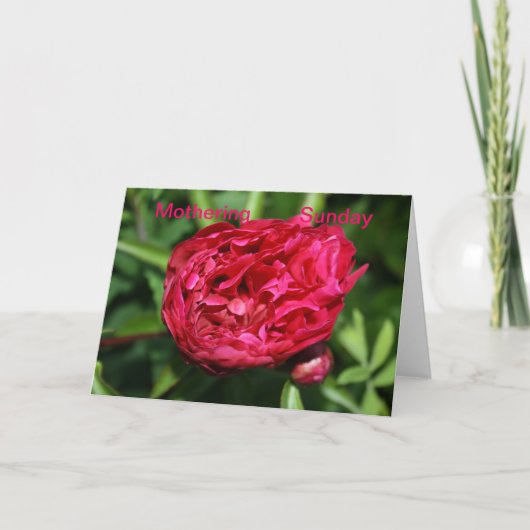 Carte Peony Rose Mothering Sunday Card (Devant)