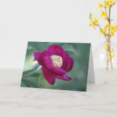 Carte Peony "Sword Dance" (Fleur jaune)
