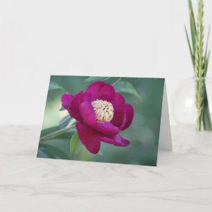 Carte Peony "Sword Dance"