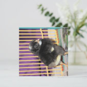 Carte Pep (Debout devant)