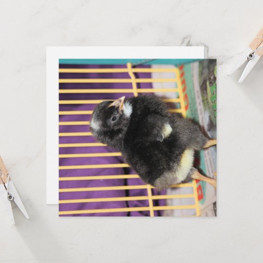 Carte Pep (Devant/Arrière en situation)