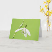 Carte Perce-neige (Fleur jaune)
