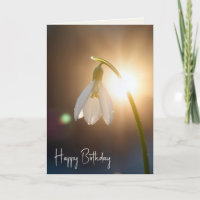 Perce-neige d'anniversaire avec gouttelettes de ro