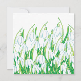 Carte Perce-neige de printemps