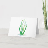 Carte Perce-neige (Galanthus nivalis) Fleurs de début de (Devant)