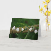 Carte Perce-neiges (Fleur jaune)