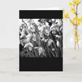 Carte Perce-neiges (Fleur jaune)