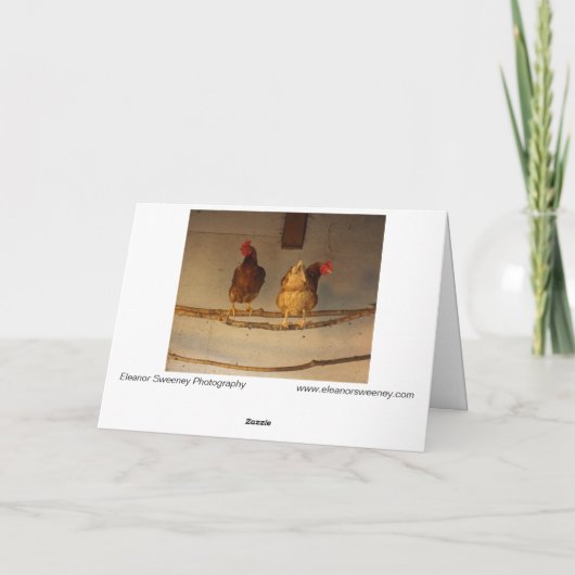 Carte "Perching" Deux poulets perchés en coop / serre (Dos)