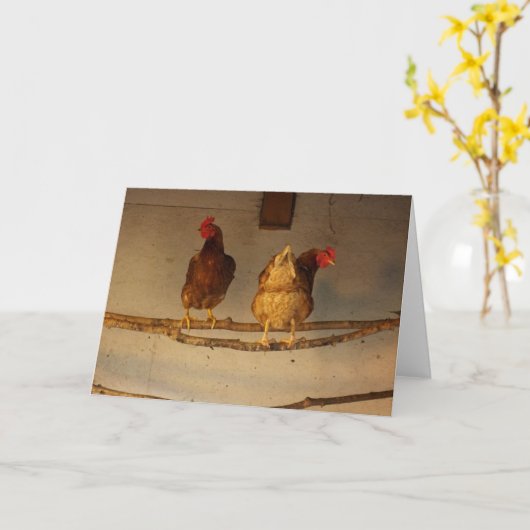 Carte "Perching" Deux poulets perchés en coop / serre (Fleur jaune)