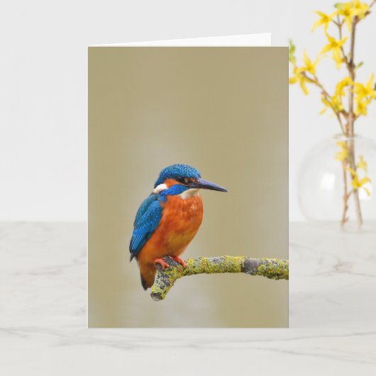 Carte Perching Kingfisher (Fleur jaune)