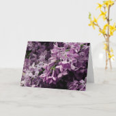 Carte Perdu à Lilac (Fleur jaune)