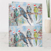 Carte Père Noël Budgie Noël aquarelle peinture oiseau (Dos)