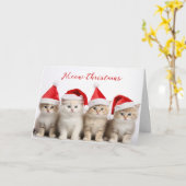 Carte Père Noël Cats (Fleur jaune)