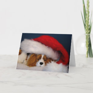 Carte Père Noël Cavalier King Charles Blenheim