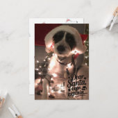 Carte Père Noël cher je peux expliquer (chien) (Devant/Arrière en situation)