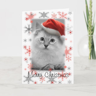 Carte père Noël kitty noël